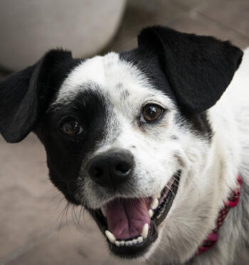 Jonas Richter profile photo