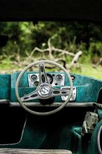 Maya Chen profile photo