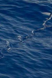 Maya Chen profile photo