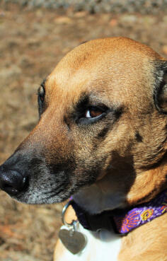 Jonas Richter profile photo