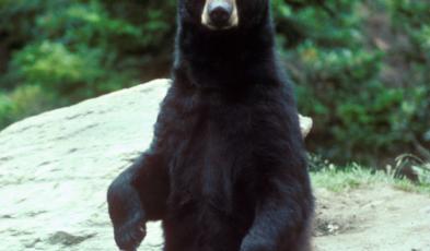 Leo Anders profile photo