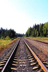 Maya Chen profile photo