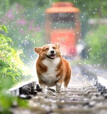 Maya Chen profile photo