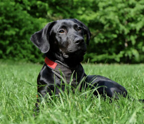 Jonas Richter profile photo