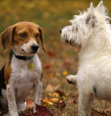 Leo Anders profile photo