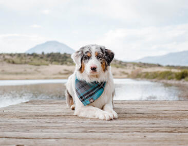 Jonas Richter profile photo