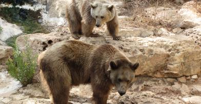 Leo Anders profile photo