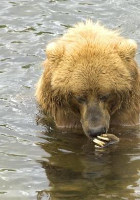 Jonas Richter profile photo