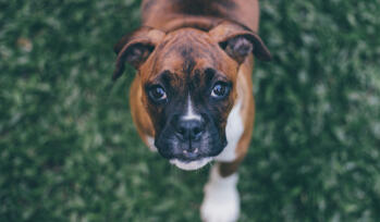 Leo Anders profile photo