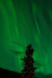 Leo Anders profile photo