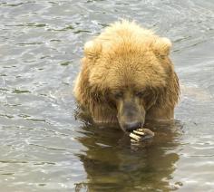 Leo Anders profile photo