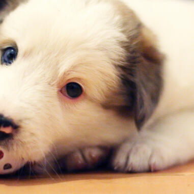 Alex Martinez avatar