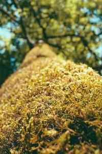 Jonas Richter profile photo