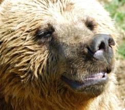 Maya Chen profile photo