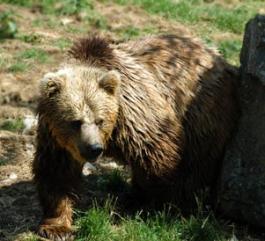 Jonas Richter profile photo