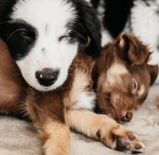 Maya Chen profile photo