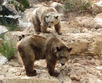 Jonas Richter profile photo