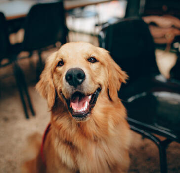 Jonas Richter profile photo