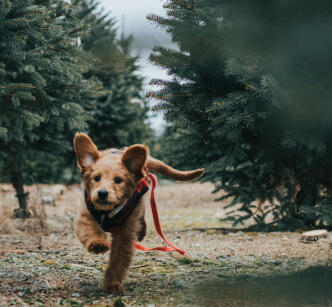 Maya Chen profile photo