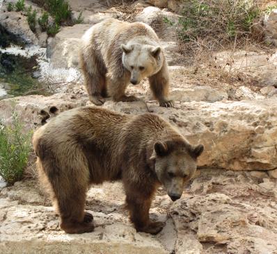 Alex Martinez avatar