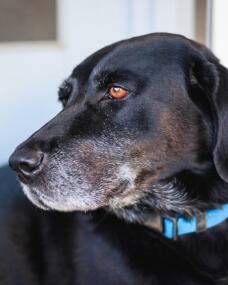 Alex Martinez avatar