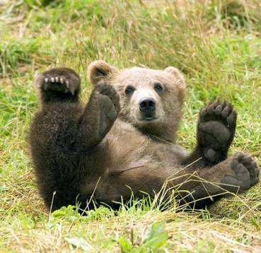 Alex Martinez avatar