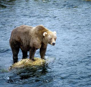 Alex Martinez avatar