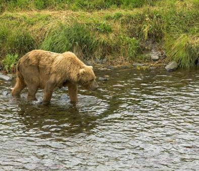 Jonas Richter profile photo