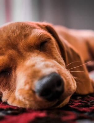 Alex Martinez avatar