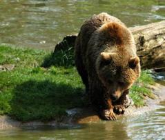 Maya Chen profile photo