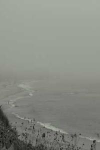 Alex Martinez avatar