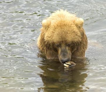 Alex Martinez avatar