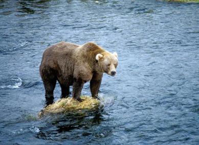 Alex Martinez avatar