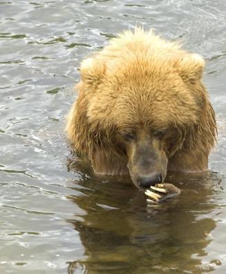 Maya Chen profile photo