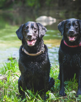 Alex Martinez avatar