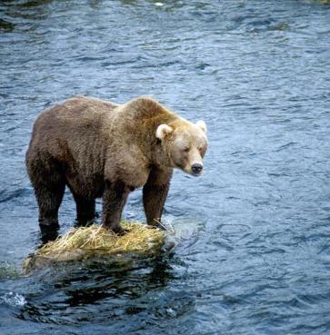 Alex Martinez avatar