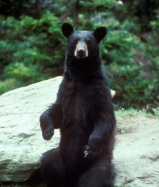 Alex Martinez avatar