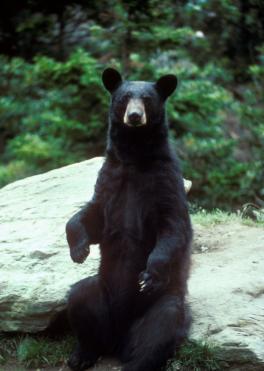 Alex Martinez avatar