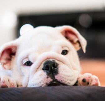 Jonas Richter profile photo