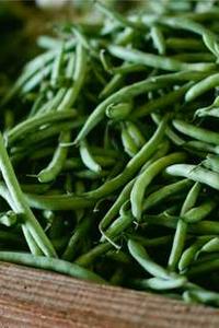 Leo Anders profile photo