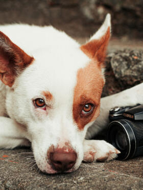 Maya Chen profile photo