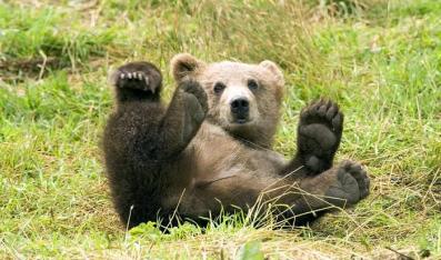 Jonas Richter profile photo