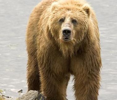 Jonas Richter profile photo