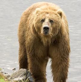 Alex Martinez avatar