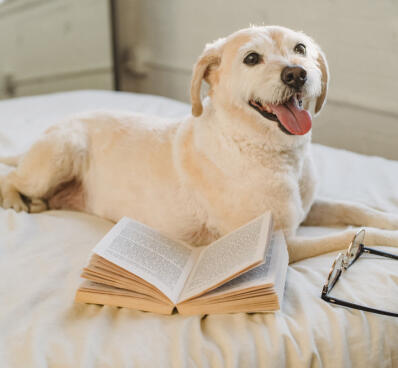 Maya Chen profile photo