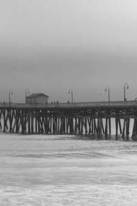 Alex Martinez avatar