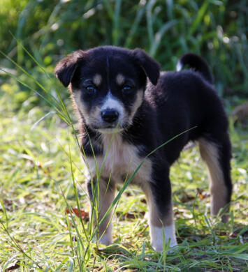 Leo Anders profile photo