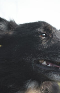 Jonas Richter profile photo