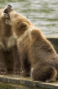 Alex Martinez avatar