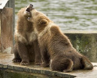 Maya Chen profile photo